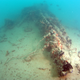 Image for article titled A Rare Glimpse of a US Seaplane Lost In the First Minutes of the Pearl Harbor Attack